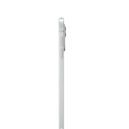 iPad Pro M4 11 inç Wi-Fi + Cellular 256GB Standard Cam (MVW23TU/A) - Gümüş