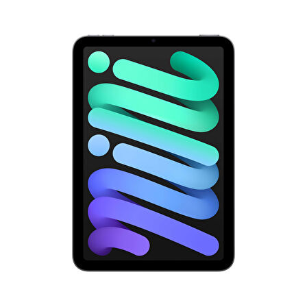 iPad mini Wi-Fi 512GB - Uzay Grisi (MYGY3TU/A)