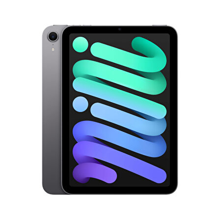 iPad mini Wi-Fi 512GB - Uzay Grisi (MYGY3TU/A)