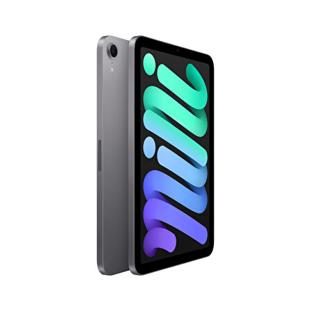 iPad mini Wi-Fi 512GB - Uzay Grisi (MYGY3TU/A)