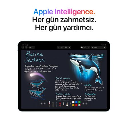 iPad Air 13 inç M4 Wi-Fi 128GB (MH5N4TU/A) - Uzay Grisi