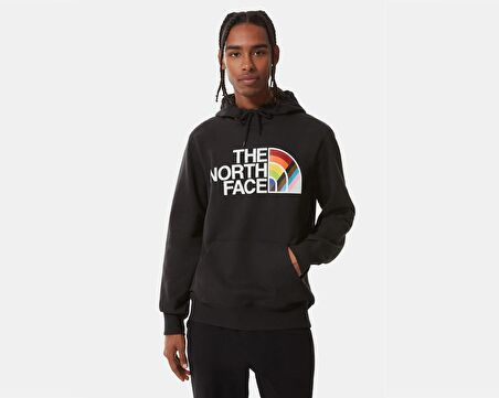 M Pullover Hoodie Erkek Outdoor Sweatshirts NF0A7QCKJK31 Siyah