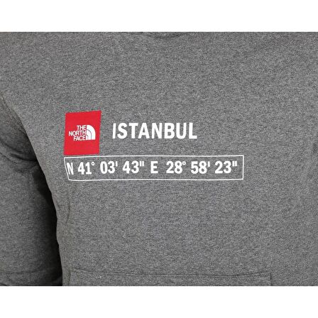 The Northface Erkek GPS HOODIE  ISTANBUL NF0A7ZC1DYY1