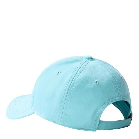 RECYCLED 66 CLASSIC HAT Şapka NF0A4VSVLV21