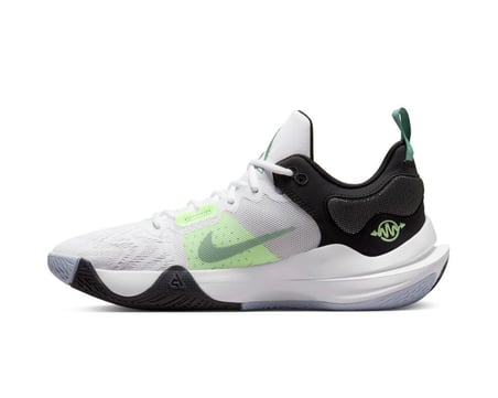 Nike Giannis Immortality 2 Unisex Basketbol Ayakkabısı DM0825-101