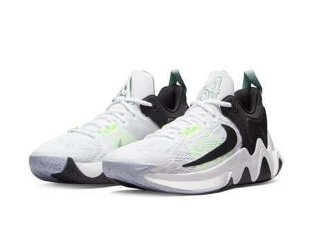 Nike Giannis Immortality 2 Unisex Basketbol Ayakkabısı DM0825-101
