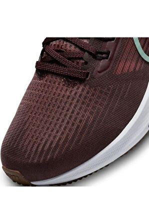 Air Zoom Pegasus 39 Road Running Kadın Spor Ayakkabı