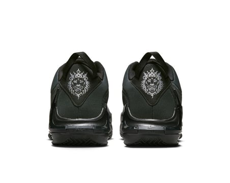 Nike Lebron Witness 7 Unisex Basketbol Ayakkabısı DM1123-004