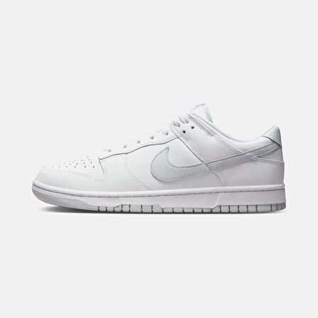 Nike Dunk Low Retro Erkek Ayakkabı DV0831-101