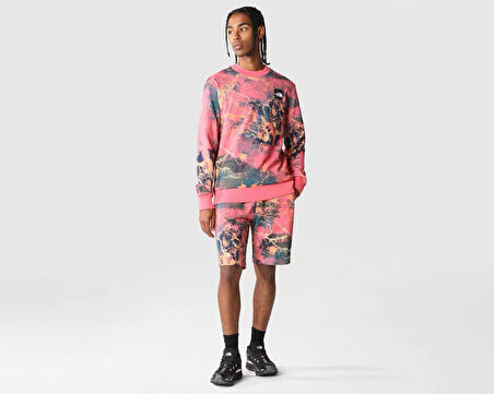 M Summer Logo Crew Erkek Günlük Sweatshirts NF0A8238IOC1 Renkli