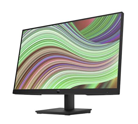 HP P24v G5 FHD Monitor