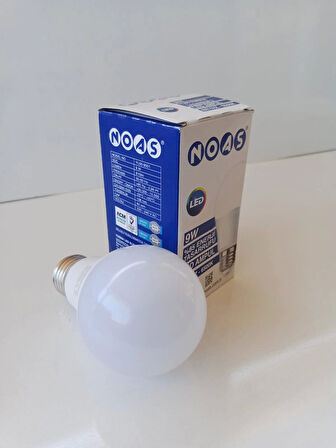 9 W Led Ampul