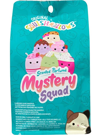 Squishmallows Mystery Squad Surpriz Figur 13 cm Seri 24