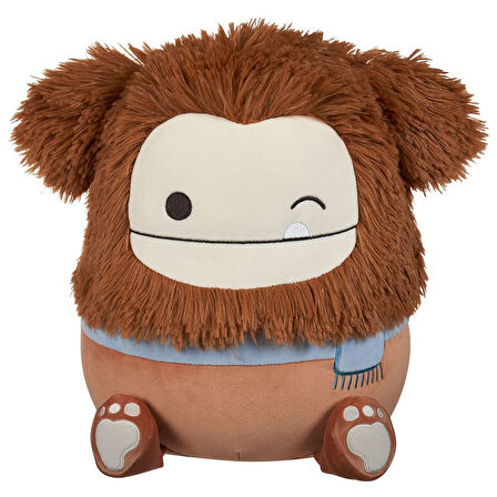 Squishmallows Kocaayak Benny 30cm SQCR06385