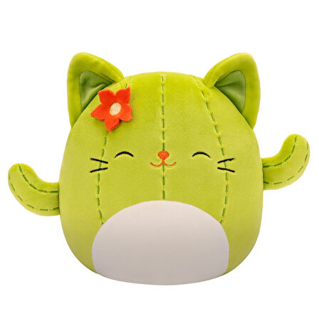 Squishmallows Kaktüs Kedi Ms. Miss 20cm SQCR06594