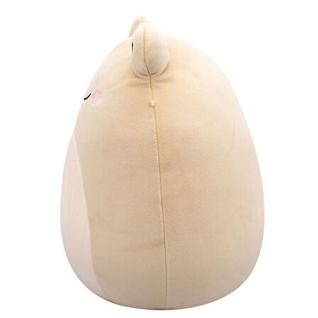 Squishmallows Kurbağa DeWitt 30cm SQCR06687