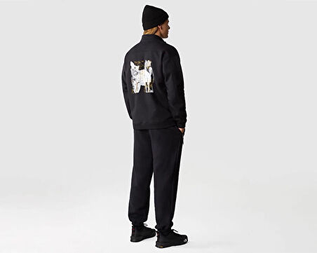 The North Face M Heavyweight 1/4 Zip Erkek Outdoor Sweatshirts NF0A84GMOGC1 Siyah