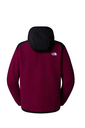The North Face Kadın Alpine Polartec 200 F/Z Hooded Jacket Mont