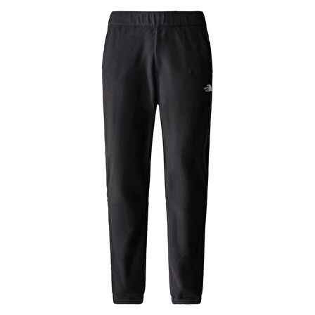 M 100 GLACIER PANT Erkek Pantolon NF0A8561JK31