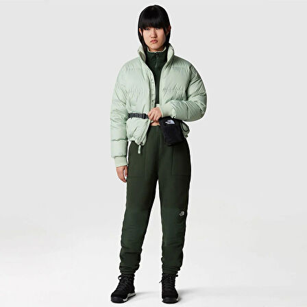 The North Face Kadın Mont Down Paralta Puffer