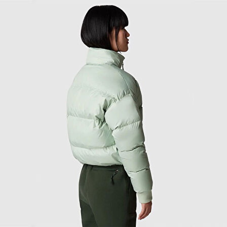 The North Face Kadın Mont Down Paralta Puffer