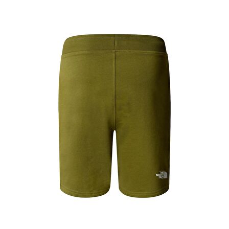 M STANDARD SHORT LIGHT-EU Erkek Şort NF0A3S4EPIB1