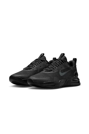 Nike Erkek M NIKE AIR MAX ALPHA Ayakkabı  DM0829-010