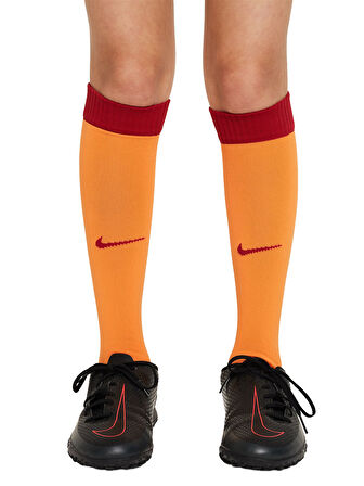 Nike Galatasaray 2023/2024 Çocuk Parçalı İç Saha Forma Set FJ6954-836