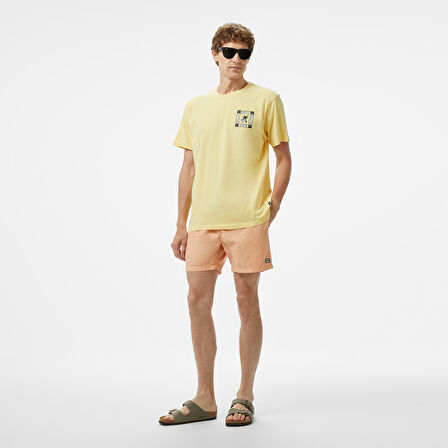 Billabong Window Premium Erkek Sarı T-Shirt