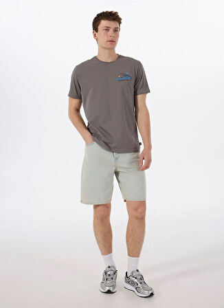 Billabong LIZARD MOUNTAIN ADIV SS 24A501545 Çok Renkli Bisiklet Yaka Regular Fit Düz Erkek T-Shirt