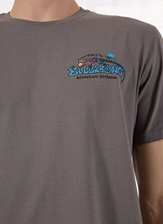 Billabong LIZARD MOUNTAIN ADIV SS 24A501545 Çok Renkli Bisiklet Yaka Regular Fit Düz Erkek T-Shirt