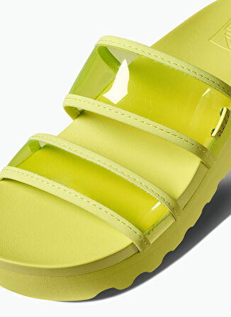 Reef Terlik, 40, Yeşil