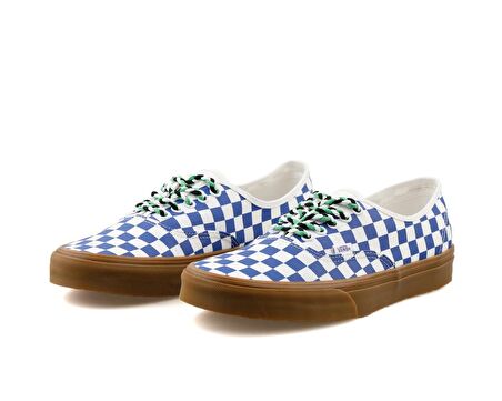 Vans Authentic Erkek Günlük Ayakkabı VN0009PVY6Z1 Renkli