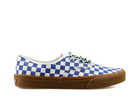 Vans Authentic Erkek Günlük Ayakkabı VN0009PVY6Z1 Renkli