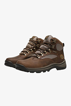 Timberland Chocorua Mid Lace Up Erkek Kahverengi Bot TB1151302101