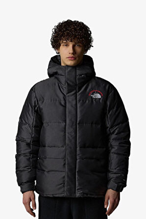 The North Face M Hmlyn 30 Annıversary Erkek Gri Parka NF0A88XE1OA1
