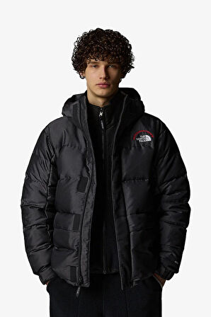 The North Face M Hmlyn 30 Annıversary Erkek Gri Parka NF0A88XE1OA1
