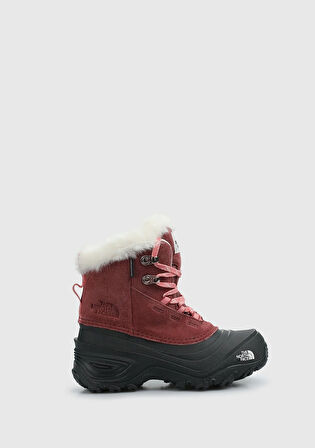 Shellista V Lace Bordo Unisex Outdoor Ayakkabı NF0A7W5X7I01