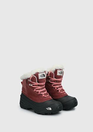 Shellista V Lace Bordo Unisex Outdoor Ayakkabı NF0A7W5X7I01