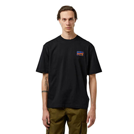 Timberland Ss Graphic Tee Erkek T-Shirt