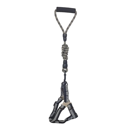 Köpek Göğüs Tasma Seti Daa Desenli 1.5 cm*35-48 cm Siyah-Beyaz