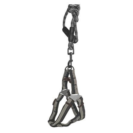 Köpek Göğüs Tasma Seti Daa Desenli 1.5 cm*35-48 cm Siyah-Beyaz