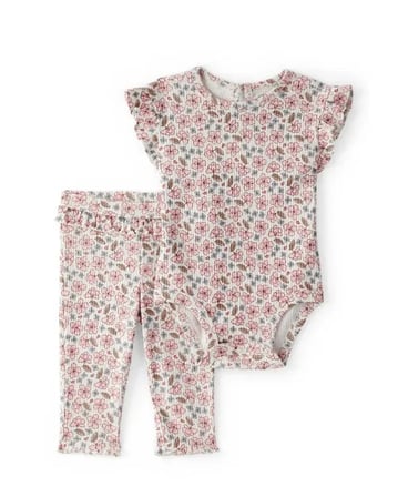 Carters Kız Bebek Body Pantolon Set 1U269810 Renkli