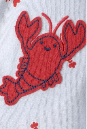 Carters Erkek Bebek Kısa Tulum 1V070610 Mavi