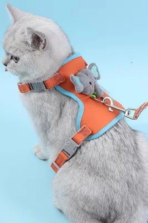 Kedi Göğüs Tasması ve Gezdirme İpi Seti | Kaçış Önleyici, Ayarlanabilir, Nefes Alabilen Kumaş