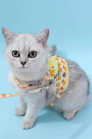 Kedi Göğüs Tasması ve Gezdirme İpi Seti | Kaçış Önleyici, Ayarlanabilir, Nefes Alabilen Kumaş