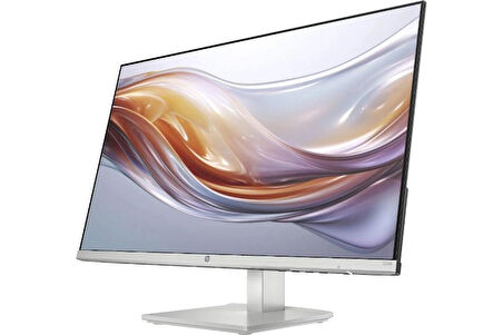 HP 94C19E9 23.8 inç inç 100Hz 5ms (HDMI + VGA) Asansör FHD IPS Monitör