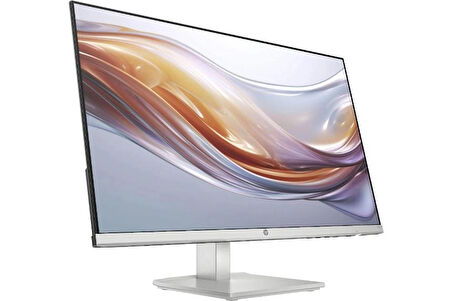 HP 94C19E9 23.8 inç inç 100Hz 5ms (HDMI + VGA) Asansör FHD IPS Monitör