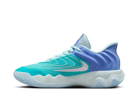 Nike Giannis Immortality 4 Erkek Basketbol Ayakkabısı FQ3680-300