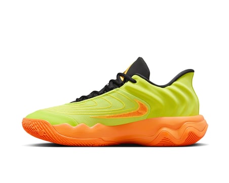 Nike Giannis Immortality 4 Unisex Basketbol Ayakkabısı FQ3680-301